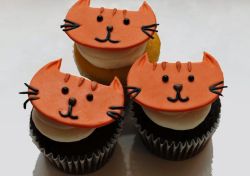Orange cat face chocolate cupcakes.JPG