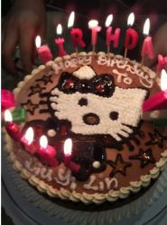 Chocolate birthday cake with cat cartoon figure and candles.JPG