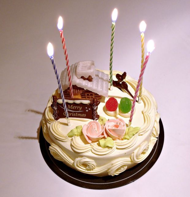 Christmas Birthday cake.JPG