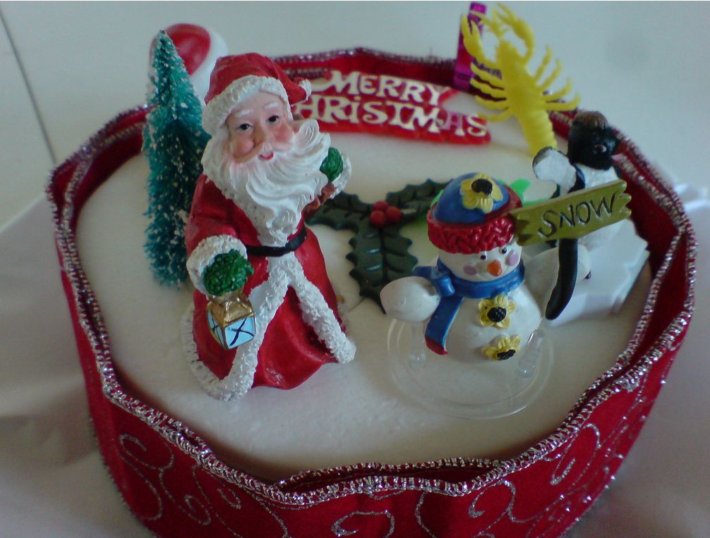 Christmas cake decor ideas.JPG