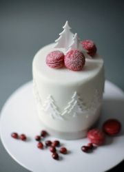 White Christmas Cylindrical Cake with Pine Trees & Mini Red Biscuits.JPG