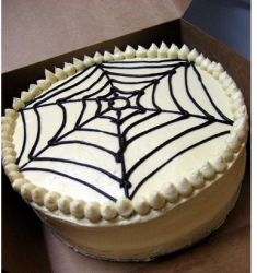White chocolate halloween cake with spider web.JPG