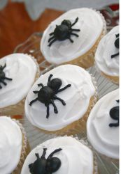 Black spiders on white cupcakes photos.JPG