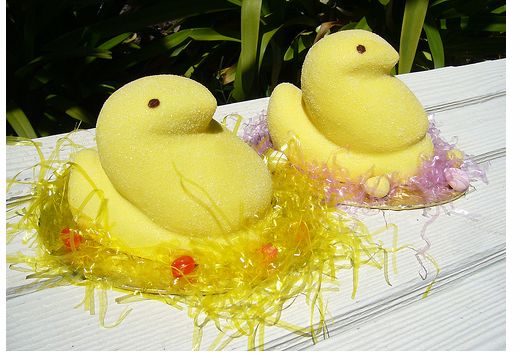 Chick easter cake photos.JPG