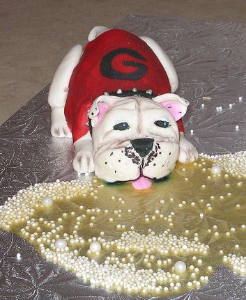 Cake Georgia Bulldog drinking from the ground.JPG