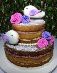 Cute 2 Tier Bird Theme Layered Cake with Flowers.JPG