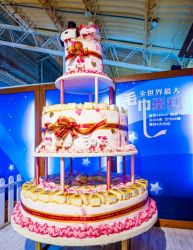 Huge Snoopy Cake measuring 132 centimeters.JPG