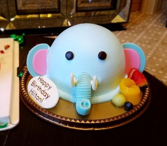 Elephant Head Birthday Cake.JPG