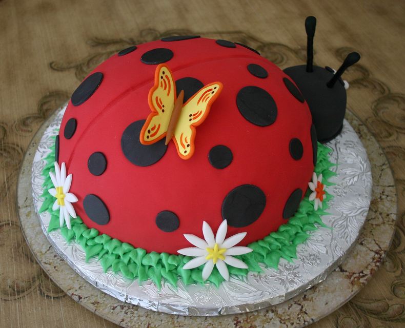 Lady bug cake with butterfly and white flowers.JPG
