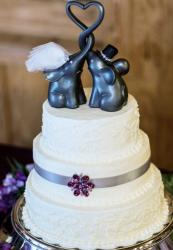 Wedding Cake Toppers Pictures