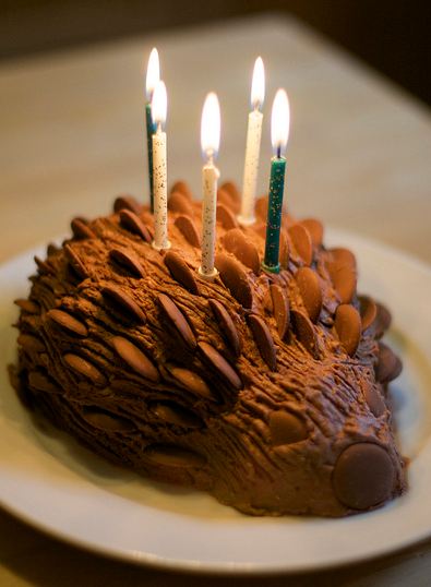 Chocolate hedgehog birthday cake.JPG