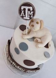 Texas A&M theme birthday cake with puppy and pokadots.JPG