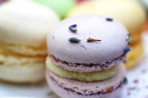 macarons.jpg