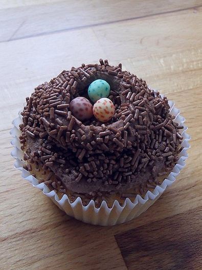 Egg nest theme chocolate cupcake.JPG