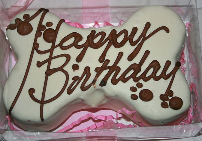Dog bone birthday cake images_dog treat cake.PNG
