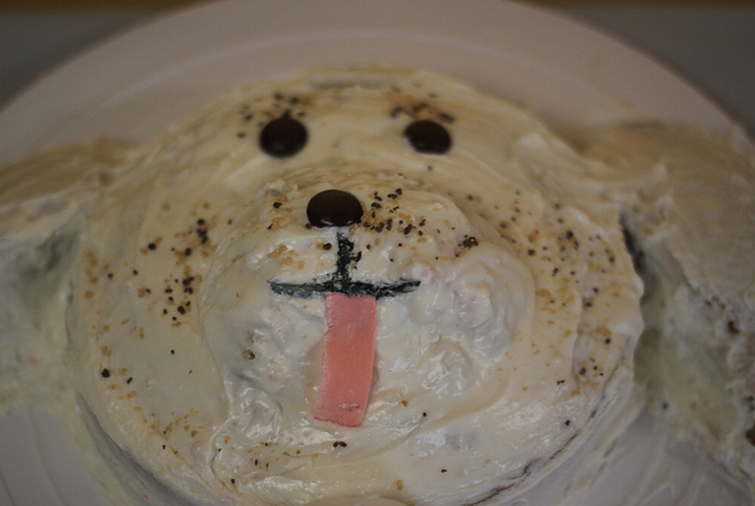 Happy dog face cake for dog birthday party.PNG