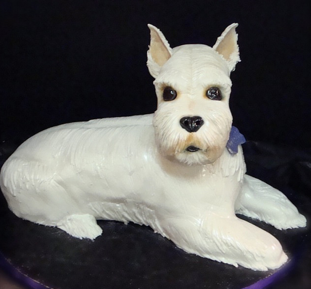 Picture of a dog shaped birthday cake_mini schnauzer dog cake.PNG