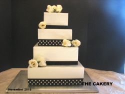 IMG_0541