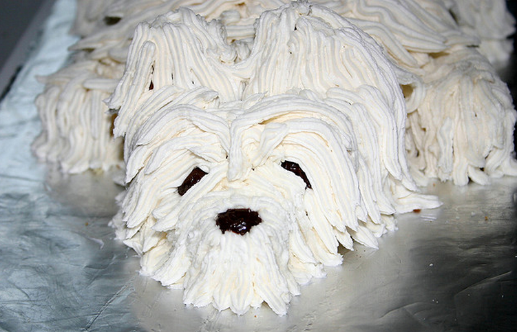 Pictures of birthday cakes for dogs.PNG