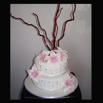 2tier flower and sticks wedding cake
