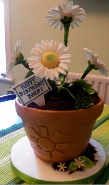 White daisy flower and pot birthday cake.jpg