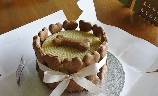 Dog Birthday Cake with Bone Shaped Biscuits.JPG